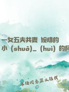 一女五夫共妻蘇婉晴的小說(shuō)