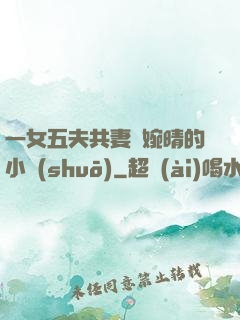 一女五夫共妻蘇婉晴的小說(shuō)