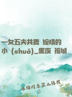 一女五夫共妻蘇婉晴的小說(shuō)