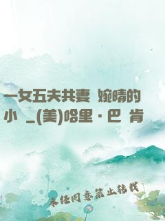 一女五夫共妻蘇婉晴的小說