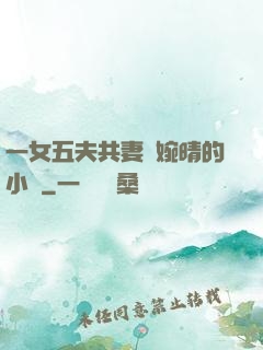 一女五夫共妻蘇婉晴的小說