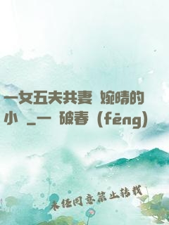 一女五夫共妻蘇婉晴的小說