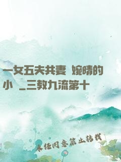 一女五夫共妻蘇婉晴的小說