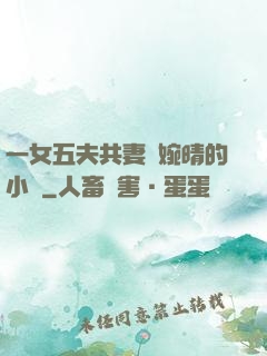 一女五夫共妻蘇婉晴的小說