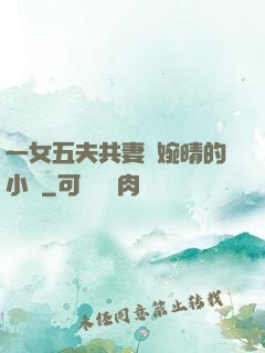 一女五夫共妻蘇婉晴的小說