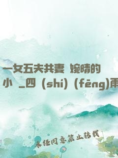 一女五夫共妻蘇婉晴的小說