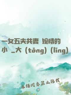 一女五夫共妻蘇婉晴的小說