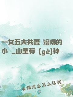 一女五夫共妻蘇婉晴的小說
