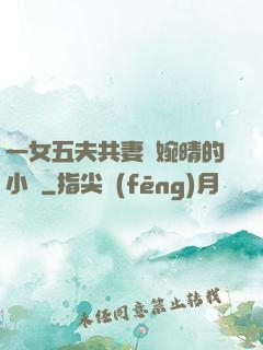 一女五夫共妻蘇婉晴的小說