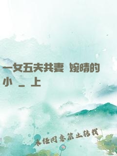 一女五夫共妻蘇婉晴的小說