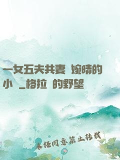 一女五夫共妻蘇婉晴的小說