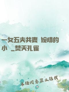 一女五夫共妻蘇婉晴的小說