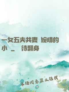 一女五夫共妻蘇婉晴的小說