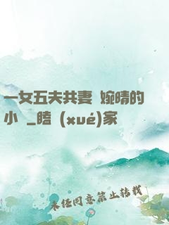一女五夫共妻蘇婉晴的小說