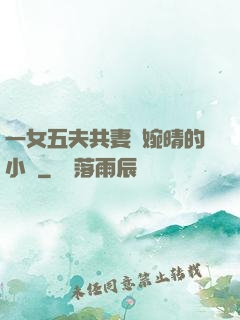 一女五夫共妻蘇婉晴的小說