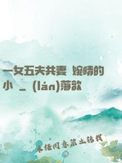 一女五夫共妻蘇婉晴的小說