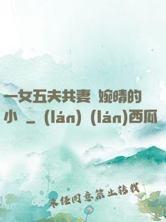 一女五夫共妻蘇婉晴的小說