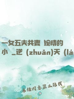 一女五夫共妻蘇婉晴的小說