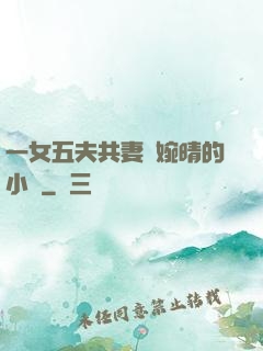 一女五夫共妻蘇婉晴的小說