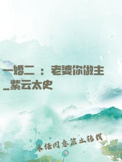 一婚二寵：老婆你做主