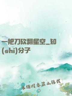 一把刀砍翻星空