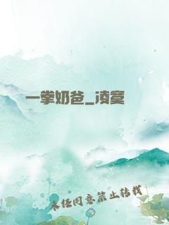 一拳奶爸