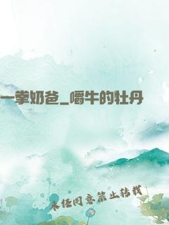 一拳奶爸