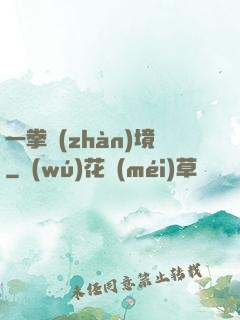 一拳戰(zhàn)境