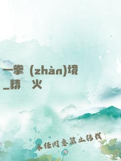 一拳戰(zhàn)境