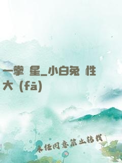 一拳殲星