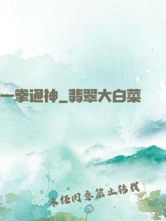 一拳通神