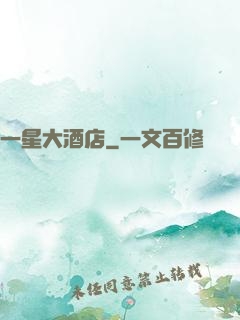 一星大酒店