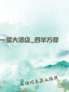一星大酒店