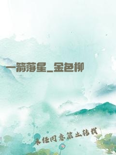 一箭落星