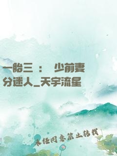 一胎三寶：陸少前妻過分迷人