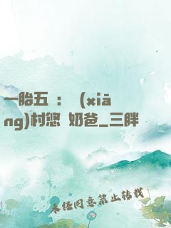 一胎五寶：鄉(xiāng)村悠閑奶爸