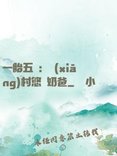 一胎五寶：鄉(xiāng)村悠閑奶爸