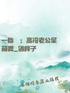 一胎兩寶：高冷老公呆萌妻
