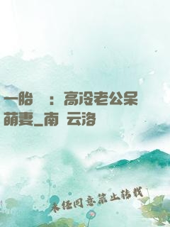 一胎兩寶：高冷老公呆萌妻
