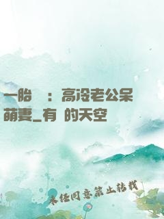 一胎兩寶：高冷老公呆萌妻