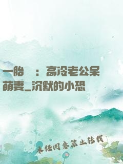 一胎兩寶：高冷老公呆萌妻