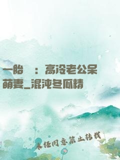 一胎兩寶：高冷老公呆萌妻