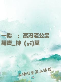 一胎兩寶：高冷老公呆萌妻