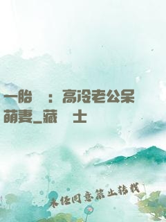 一胎兩寶：高冷老公呆萌妻