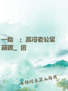 一胎兩寶：高冷老公呆萌妻