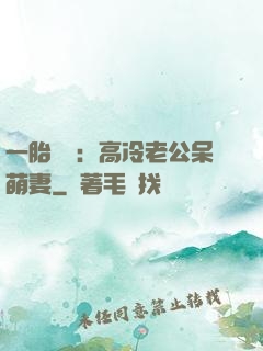 一胎兩寶：高冷老公呆萌妻