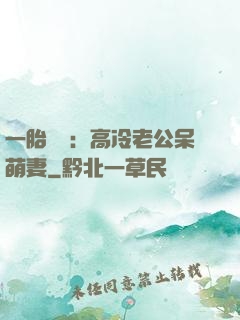 一胎兩寶：高冷老公呆萌妻