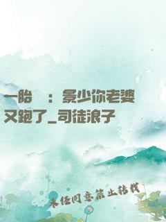 一胎雙寶：景少你老婆又跑了