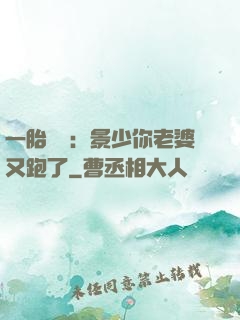一胎雙寶：景少你老婆又跑了