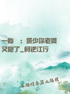 一胎雙寶：景少你老婆又跑了